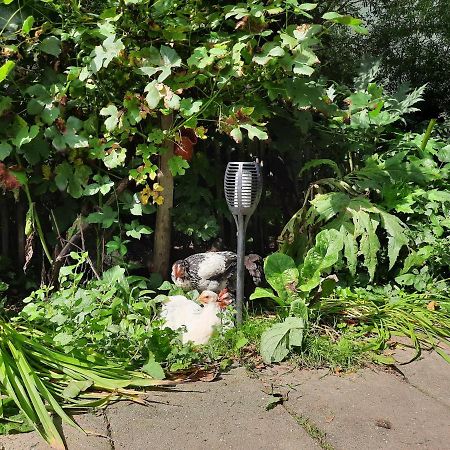 De Akker, Unieke Overnachting In Pipowagens! Ommeren Экстерьер фото