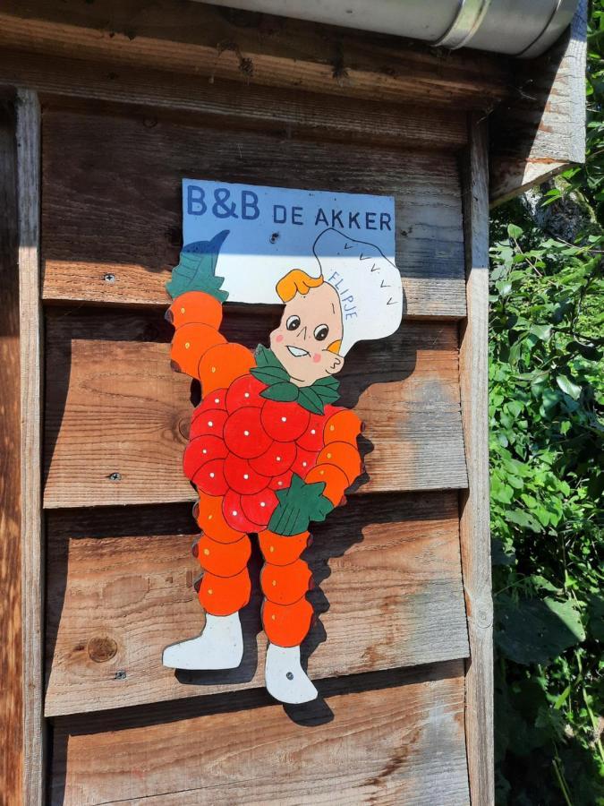 De Akker, Unieke Overnachting In Pipowagens! Ommeren Экстерьер фото